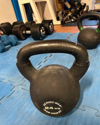Kettlebell 24 kg Xenios USA