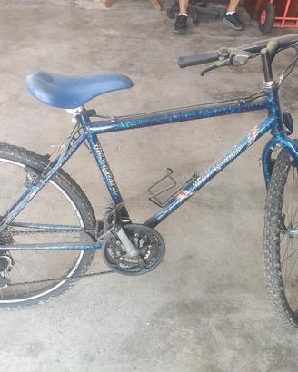 bicicletta Mountain bike