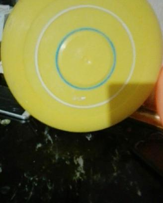 lotto frisbee