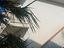 Immagine 29