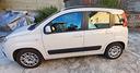 fiat-panda-1-2-easy