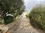 Immagine 25