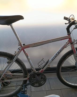 bici usata