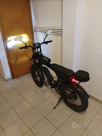 Bicicletta elettrica 