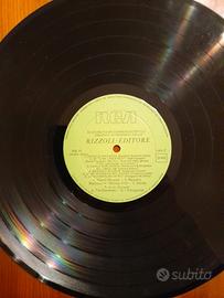Disco in vinile a microsolco 33 vintage della RCA 