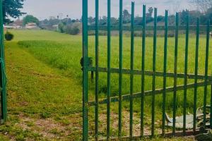 Terreno agricolo 2,5 ettari