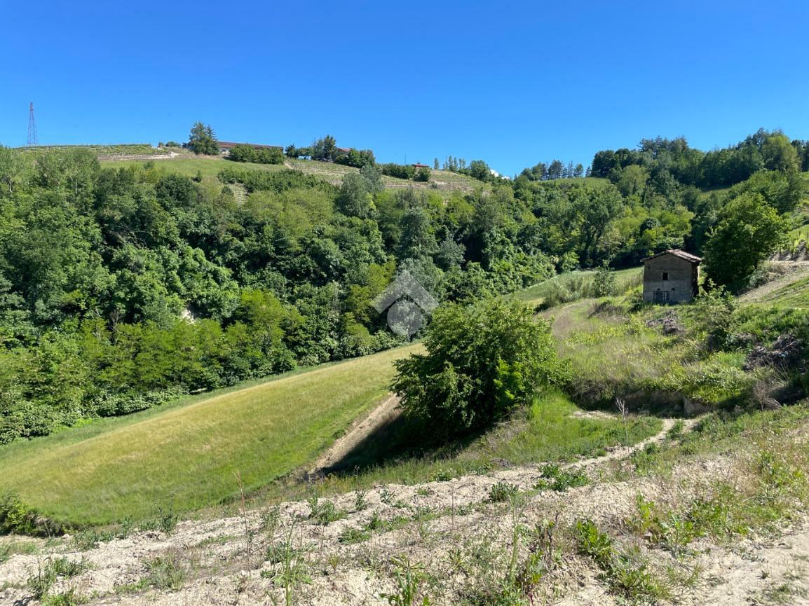 RUSTICO A CASSINASCO - Vista 2