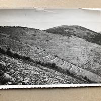 Foto milizia forestale ministero agricoltura