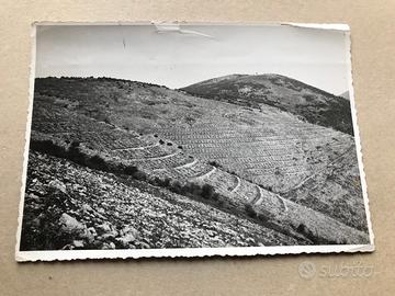 Foto milizia forestale ministero agricoltura