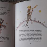 libro Il Piccolo principe 