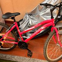 Bicicletta mountain bike