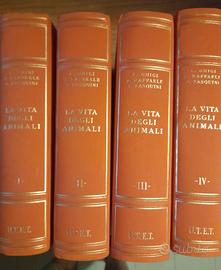 libri collezionismo lotto o singoli