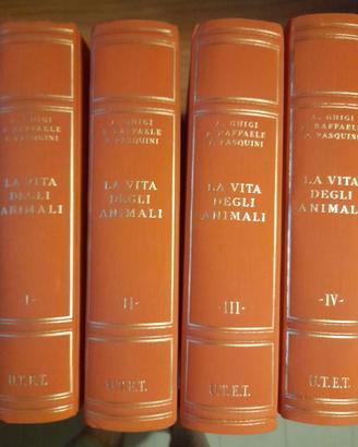 libri collezionismo lotto o singoli