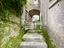 Immagine 7