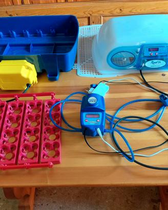 INCUBATRICE AVICOLI