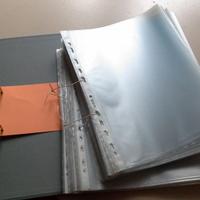 100 buste forate con contenitore e custodia