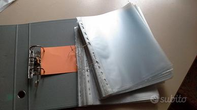 100 buste forate con contenitore e custodia