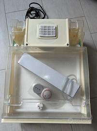 Germogliatore automatico EasyGreen germogli semi