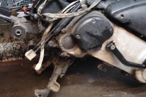 motore free piaggio 