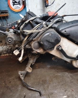 motore free piaggio 