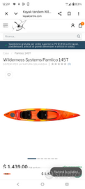 Kayak