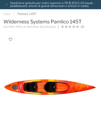 Kayak