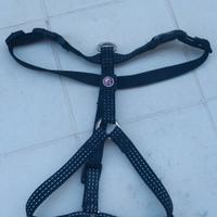 Pettorina ad H, marca Pet Around, taglia S