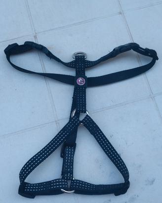 Pettorina ad H, marca Pet Around, taglia S