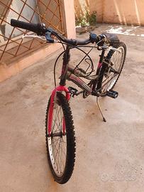 Bici da donna e/o ragazza 24/26