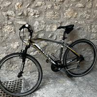 Bicicletta Olimpia