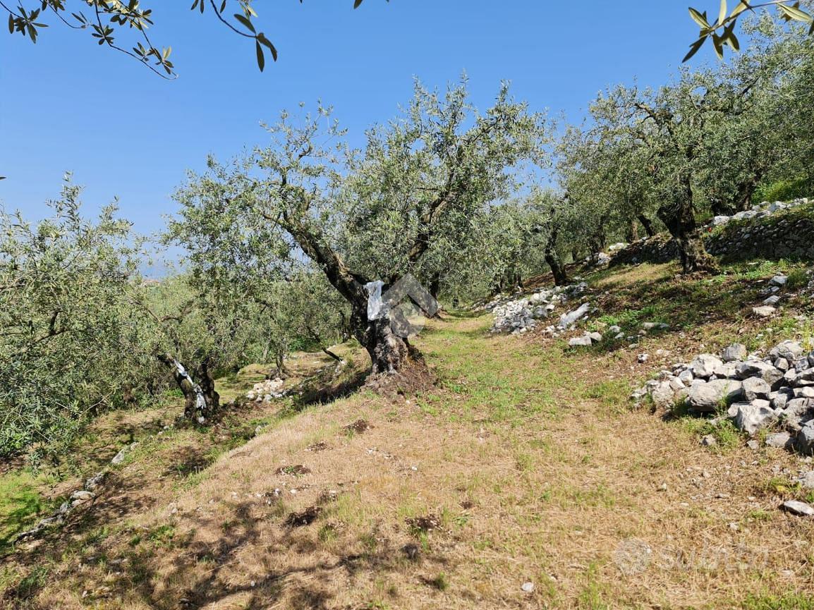 TER. AGRICOLO A SANT'AGATA DE' GOTI - Vista 3