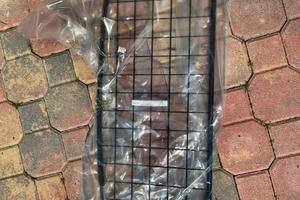 Griglia Porsche Cayman