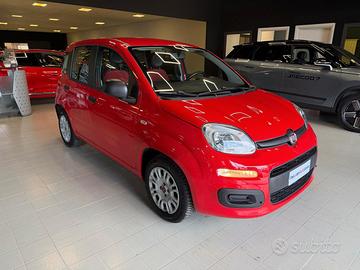 FIAT Panda 3ª serie Panda 1.2 Easy