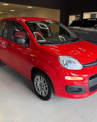 FIAT Panda 3ª serie Panda 1.2 Easy