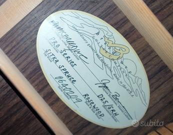 Chitarra acustica Breedlove Pro Series D25/SRH