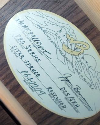 Chitarra acustica Breedlove Pro Series D25/SRH