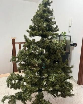 Albero di Natale verde 180 cm
