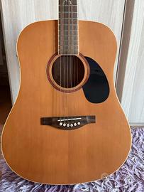 Chitarra---Chitarra acustica Eko---