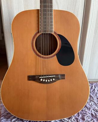 Chitarra---Chitarra acustica Eko---