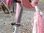 Immagine 6