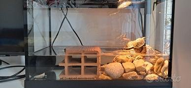 Acquario nuovo completo