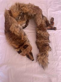 Colletto volpe vera Vintage