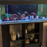 Acquario + Mobile