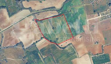 Terreno Agricolo Alezio [Cod. rif 3336871VRG]