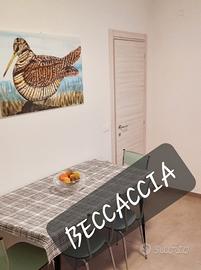 LIDO DI DANTE casa vacanze