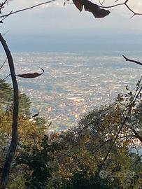 Bosco disponibile x Ripetitore