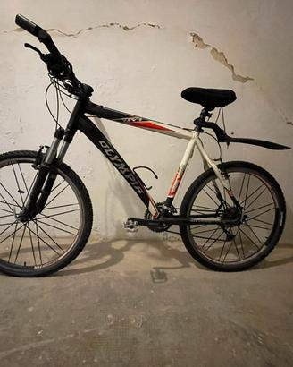 Mountain Bike usata