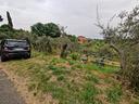 giucano-confinante-strada-uliveto-1500-mq
