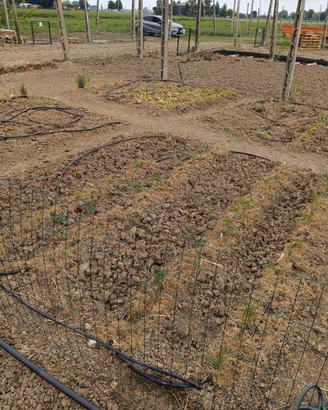 Terreno per orto