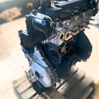 Motore revisionato Nissan Navara 2.5d YD25